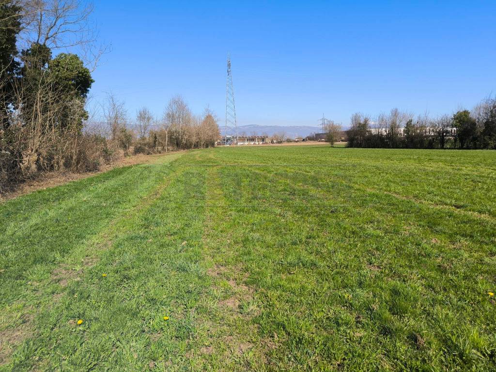 Terreno agricolo via venezia, montecchio precalcino