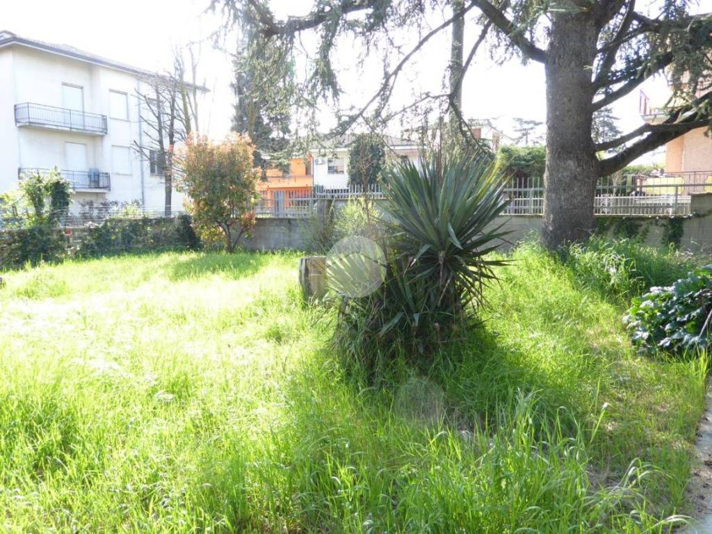 Giardino