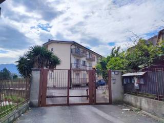 Zona