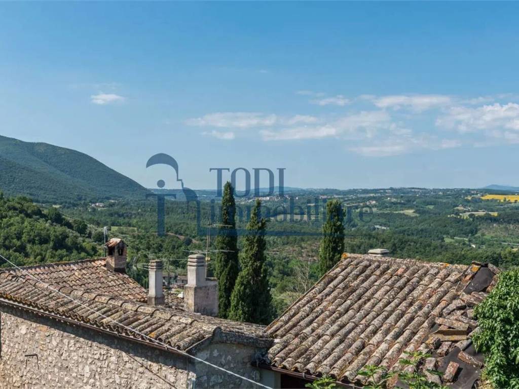 Vista
