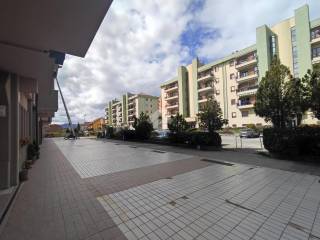 Zona