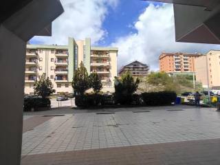 Zona
