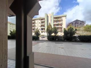 Zona