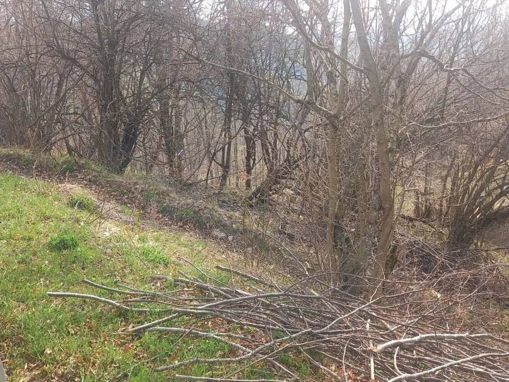Terreno non edificabile passo del giovà san c., santa margherita di staffora