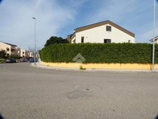 Zona