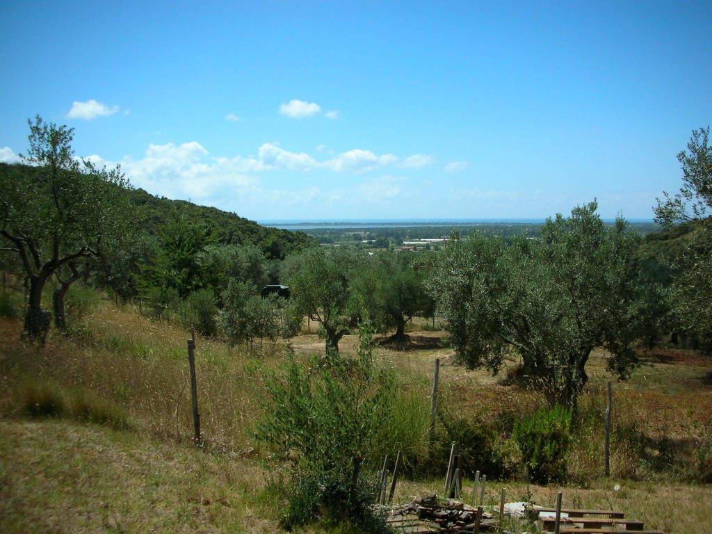 Terreno agricolo strada vicinale dei poggi, orbetello