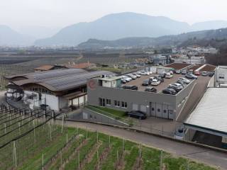 Vista