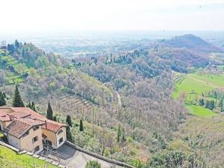 Vista