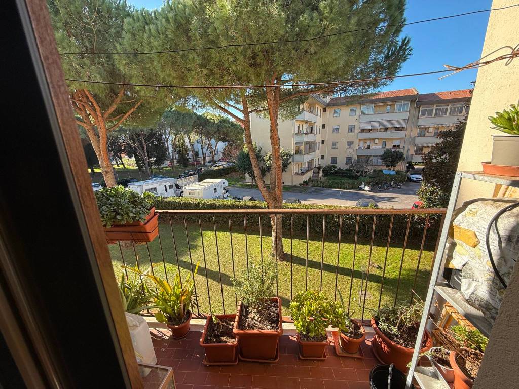 Trilocale via carlo morandi, landi, pisa