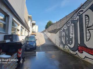 Zona