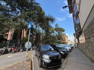 Zona