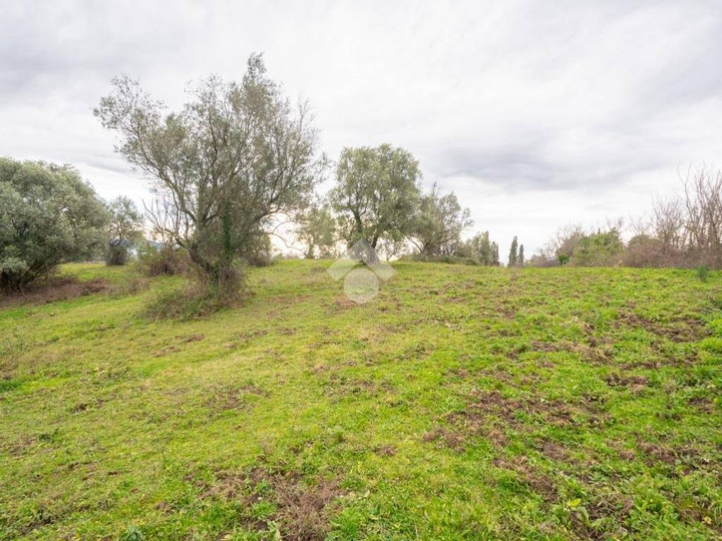 Terreno agricolo via sacrofano-prima porta, sacrofano
