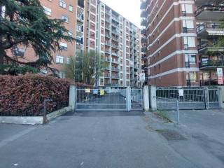 Zona