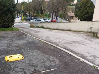 Zona
