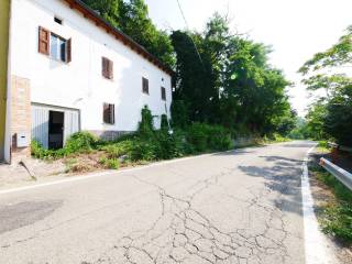 Zona