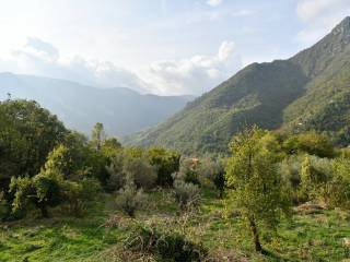 Vista