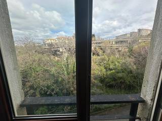 Vista