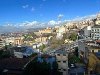 Vista