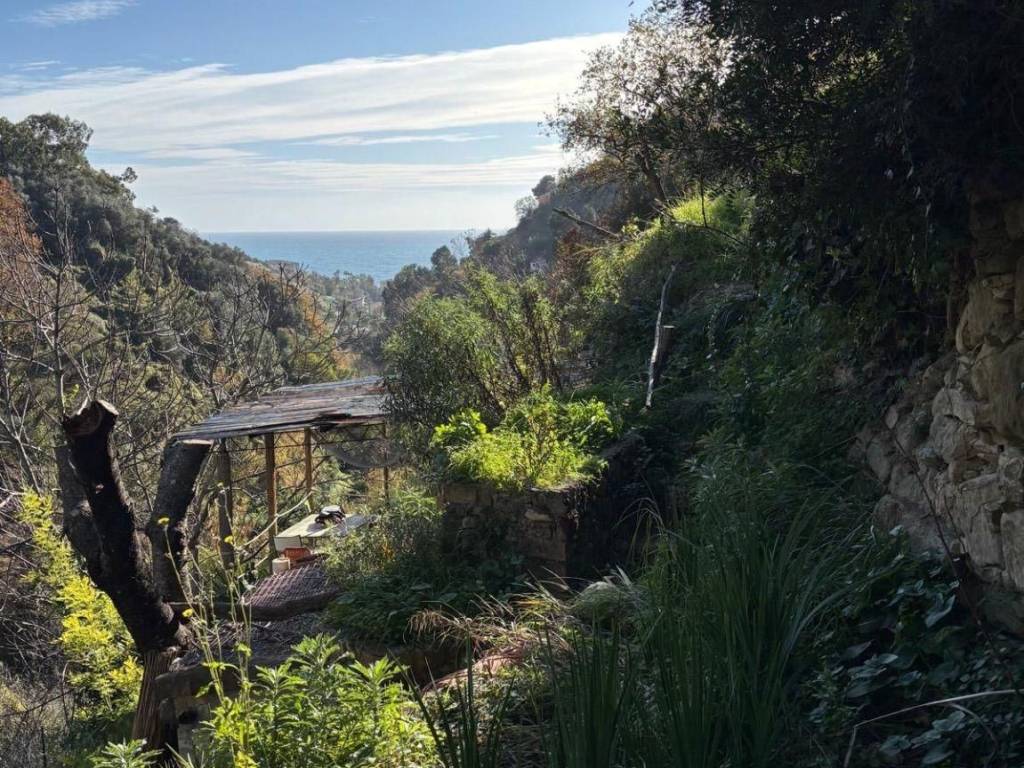 Terreno agricolo via beodo 67, zona collinare, bordighera