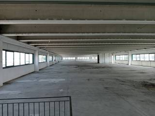 Magazzino