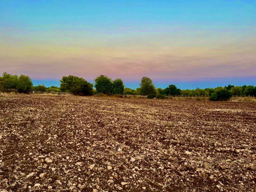 Terreno agricolo strada provinciale favarotta-ritillini, noto