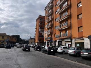 Zona