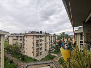 Vista