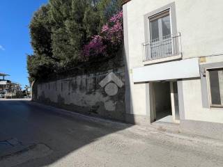 Zona