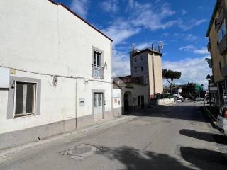 Zona