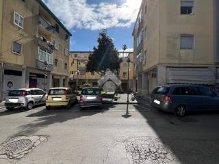 Zona