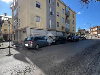 Zona