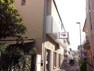Zona