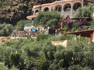 Vista