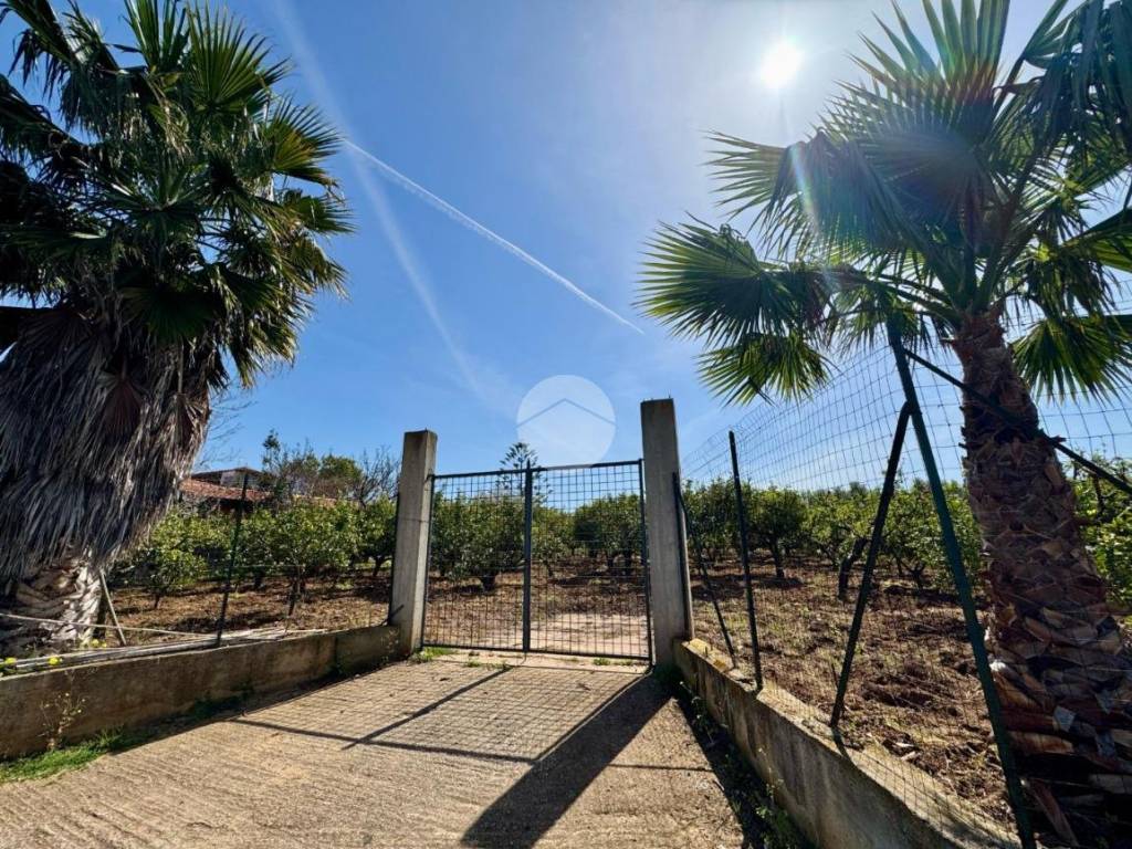 Terreno agricolo contrada san giuseppe, partinico