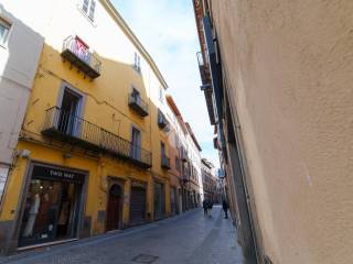 Zona