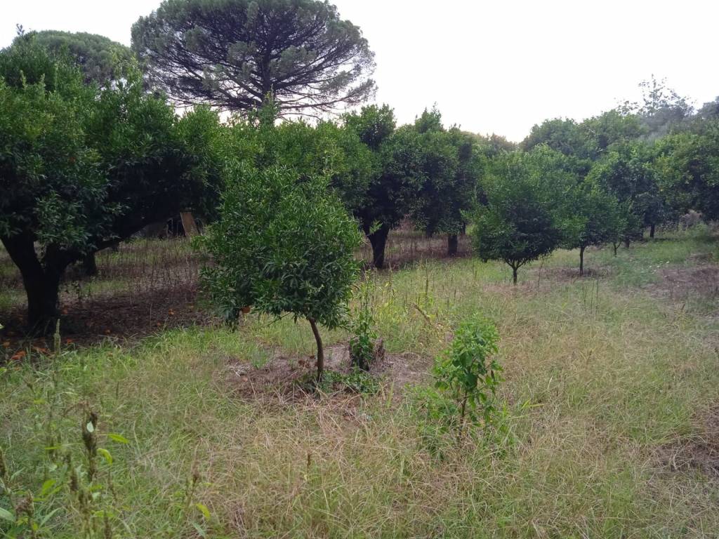 Terreno agricolo via fiano 5, nocera inferiore