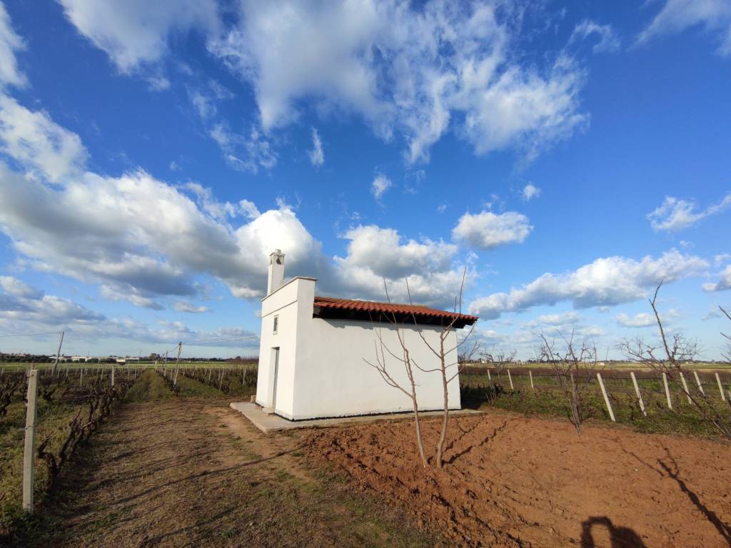 Terreno agricolo strada statale 16, montenegro, brindisi