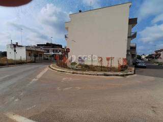 Zona