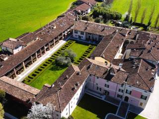 Vista