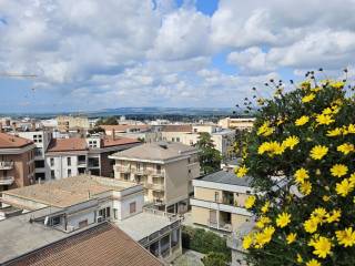 Vista
