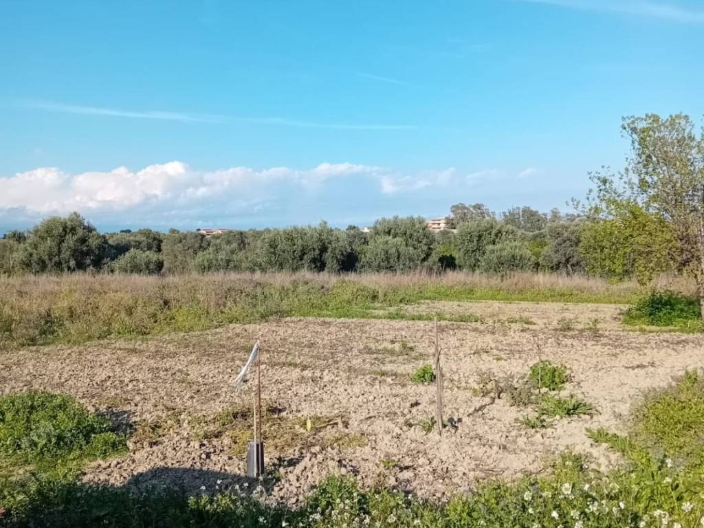 Terreno agricolo strada comunale sant'antonio valle, bianco