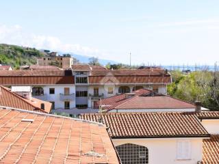 Vista