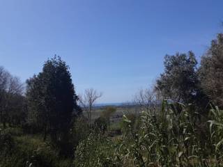 Vista