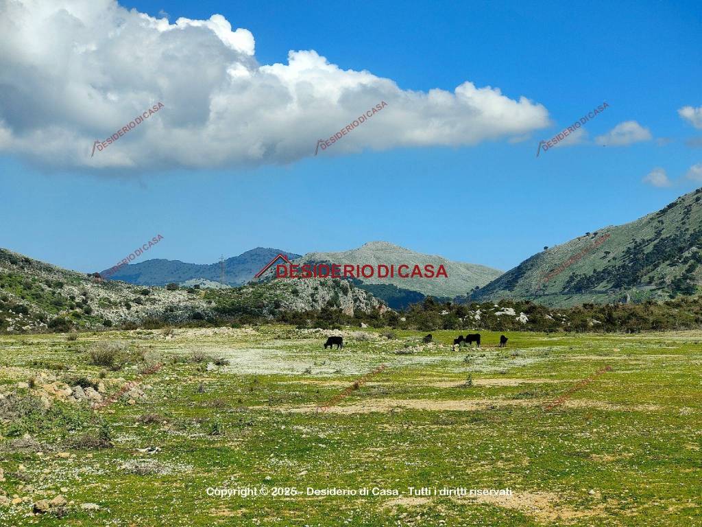 Terreno agricolo contrada san nicolò, torretta