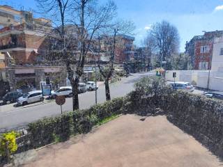 Vista