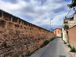 Zona