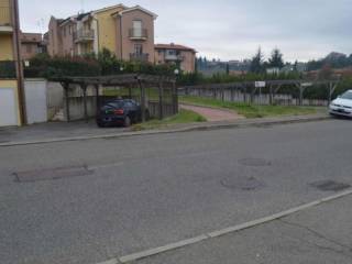 Zona