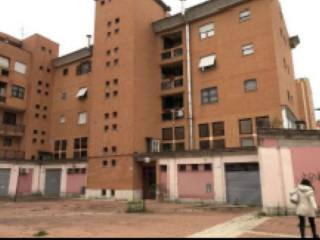 Zona