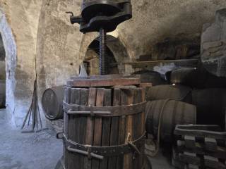 Cantina