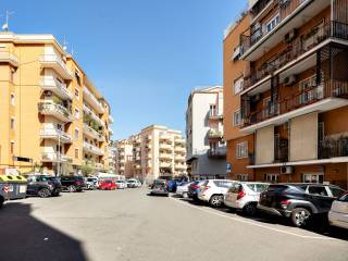 Zona
